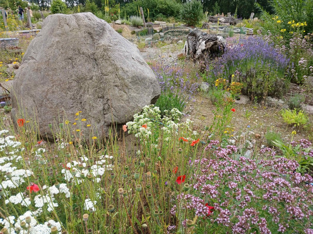 Kräutergarten in Gustow // © Angela Pfennig Kräutergarten in Gustow // © Angela Pfennig