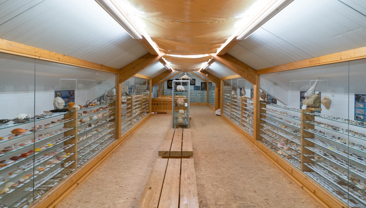 Natur-Schatzkammer, © Moritz Kertzscher Natur-Schatzkammer, © Moritz Kertzscher