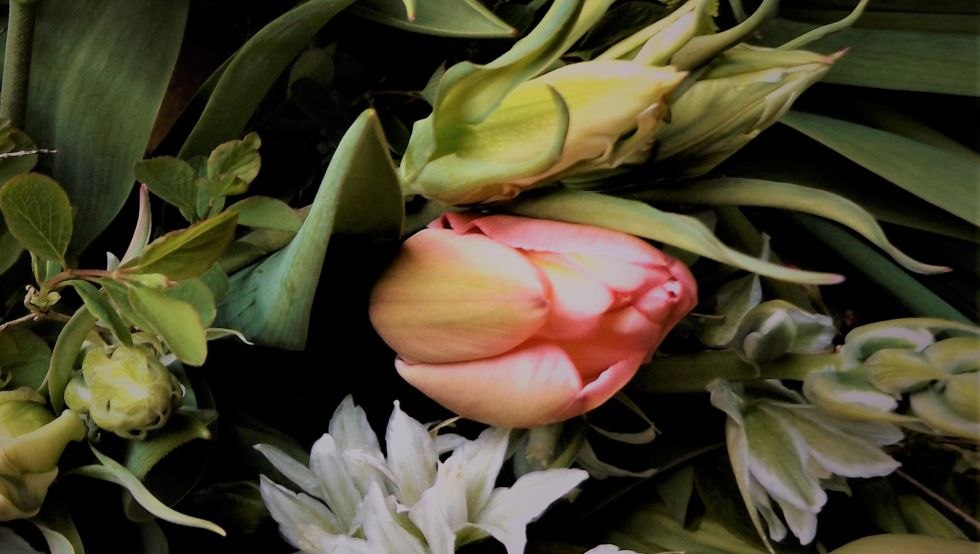 nachhaltige und regionale Schnittblumen, © Hanna Dittrich nachhaltige und regionale Schnittblumen, © Hanna Dittrich