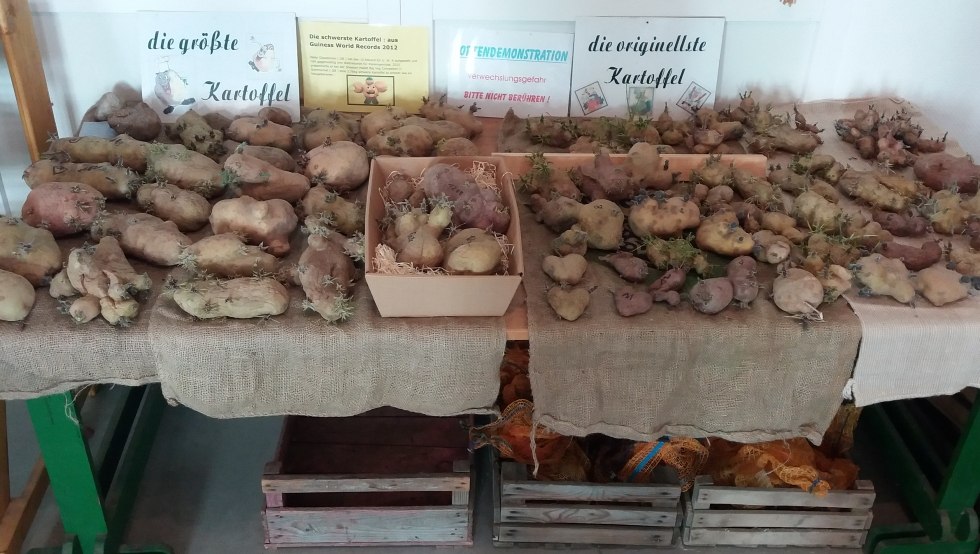 groesste_originellste_kartoffel, © Martin Hagemann groesste_originellste_kartoffel, © Martin Hagemann