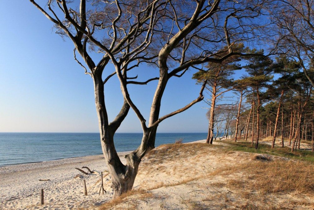 Weststrand, © TV FDZ Weststrand, © TV FDZ