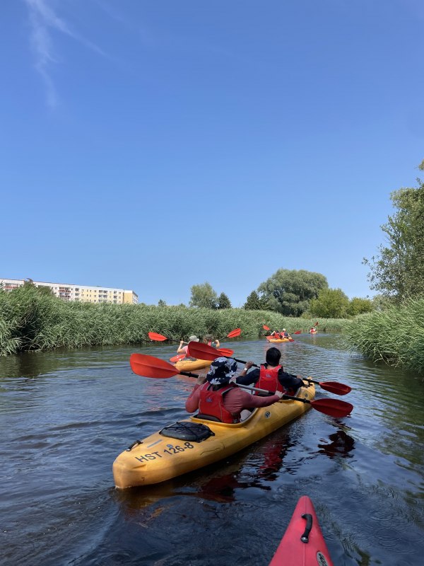 © Ronald Kley © Ronald Kley