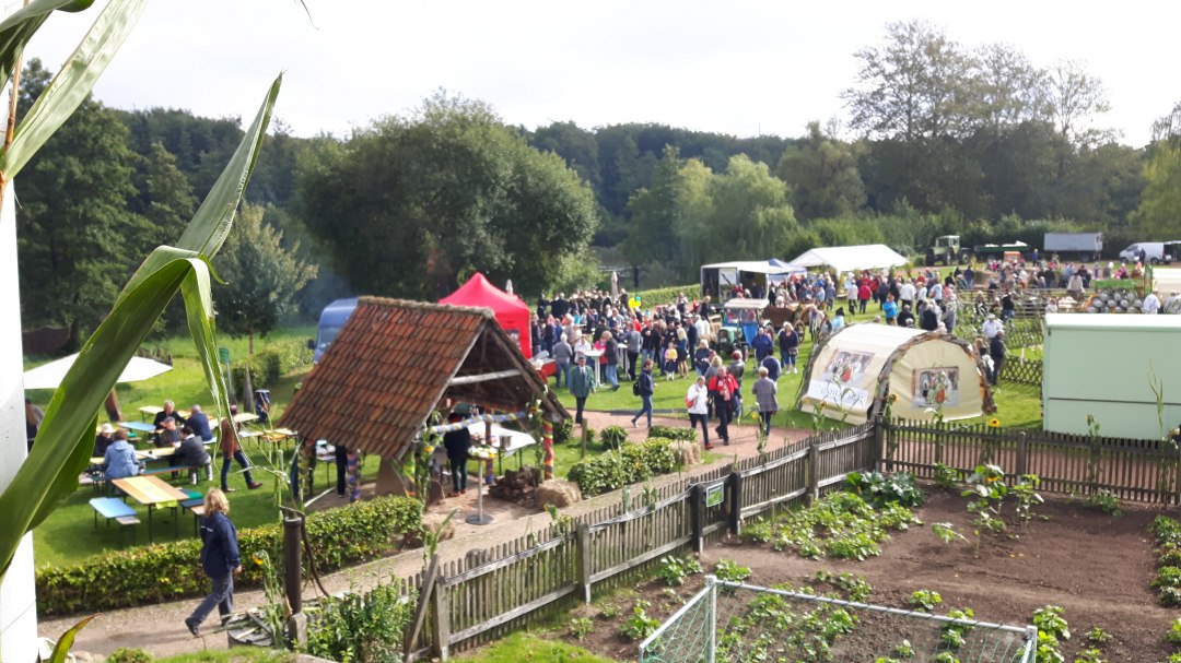 Markttreiben auf dem Sportplatz am Burgsee, © Stadt Gadebusch Markttreiben auf dem Sportplatz am Burgsee, © Stadt Gadebusch