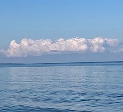 © © Silke Peters © © Silke Peters