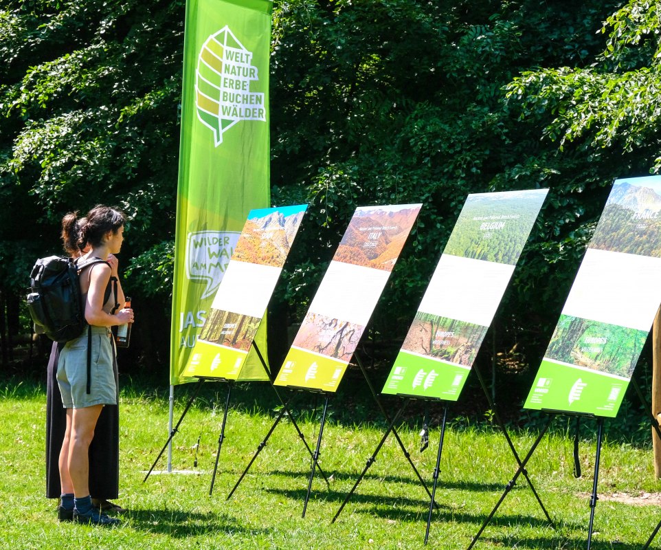 © Nationalaprk-Zentrum KÖNIGSSTUHL © Nationalaprk-Zentrum KÖNIGSSTUHL