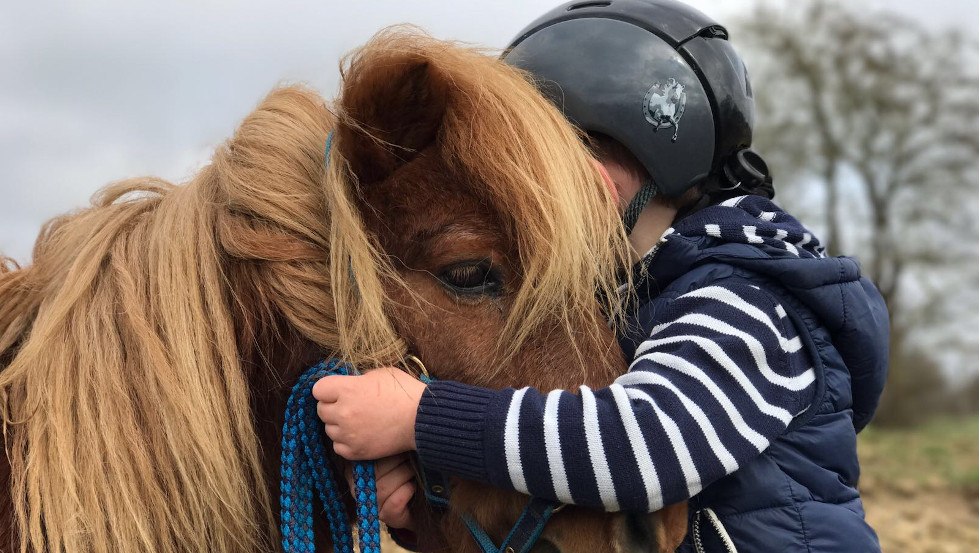 Auch für die Kleinen findet sich ein Pony zum Kuscheln // © Reitanlage Rodenberg Auch für die Kleinen findet sich ein Pony zum Kuscheln // © Reitanlage Rodenberg
