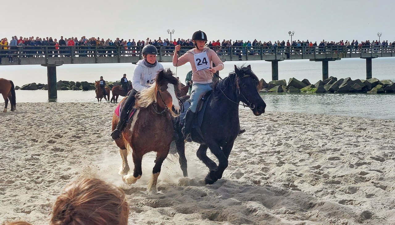 20250419_OstseebadWustrow_Strandgalopprennen_Foto&copy;KevinSchiemann_20240330_140247-02, &copy; Kevin Schiemann / KVW Wustrow