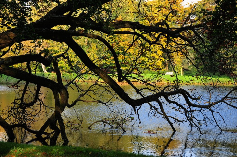 Gutspark Kartzitz, &copy; Tourismuszentrale R&uuml;gen