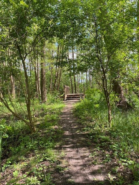 Bürgermeisterrundweg, © Touristinformationen Wesenberg & Mirow, Mecklenburgische Kleinseenplatte