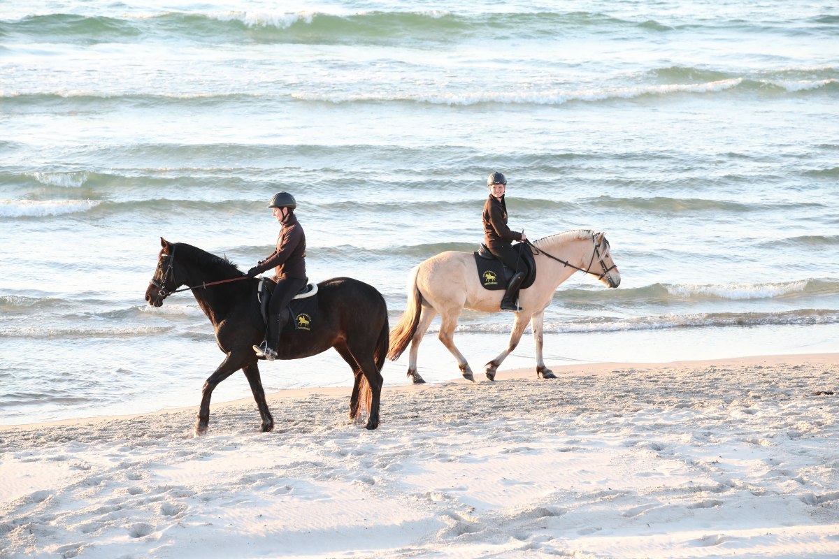 Reiten am Strand, &copy; TMV/ACP Pantel
