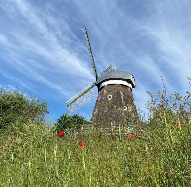 © Sibylle Böhler © Sibylle Böhler