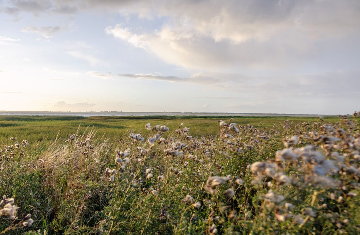 &copy; Gut Nisdorf
