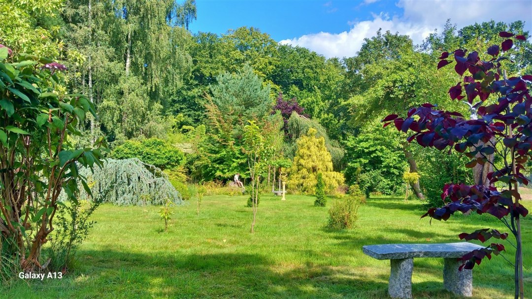 Park Ostsee Hotel-Pension, © Ostsee Hotel-Pension Park Ostsee Hotel-Pension, © Ostsee Hotel-Pension