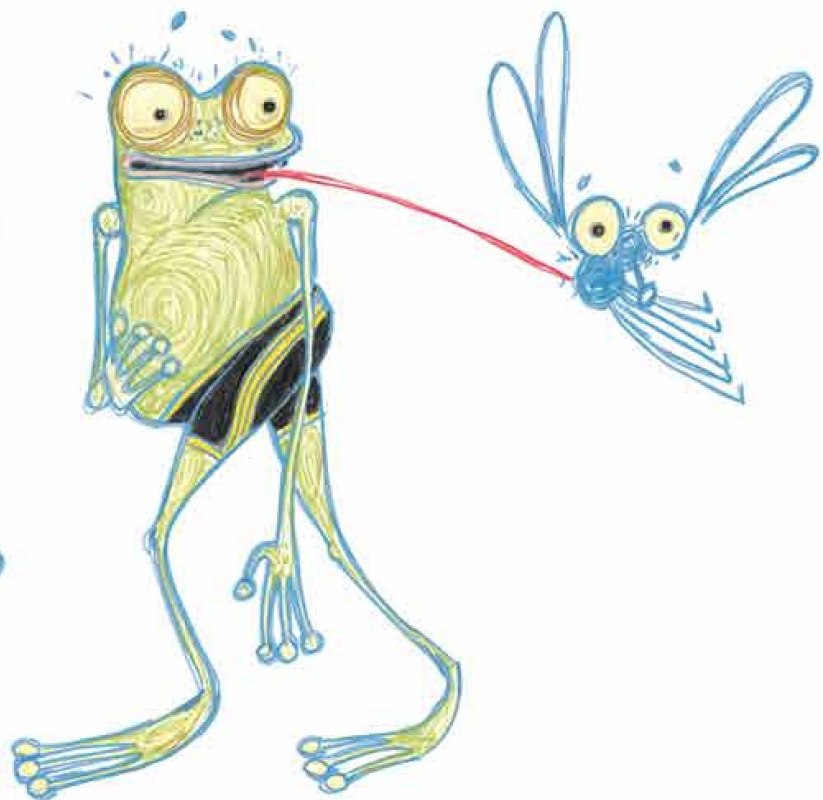 &copy; Achim Sonntag