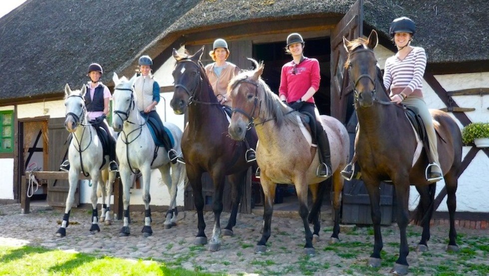 Paardenboerderij Schwalbennest: Zonsopkomstritten met de baas op je eigen of onze getrainde paarden. // © Pferdehof Schwalbennest/ Kottke Paardenboerderij Schwalbennest: Zonsopkomstritten met de baas op je eigen of onze getrainde paarden. // © Pferdehof Schwalbennest/ Kottke