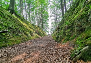 Naturschutzgebiet Granitz auf R&uuml;gen
Teufelsschlucht bei Binz // &copy; Biosph&auml;renreservat S&uuml;dost-R&uuml;gen