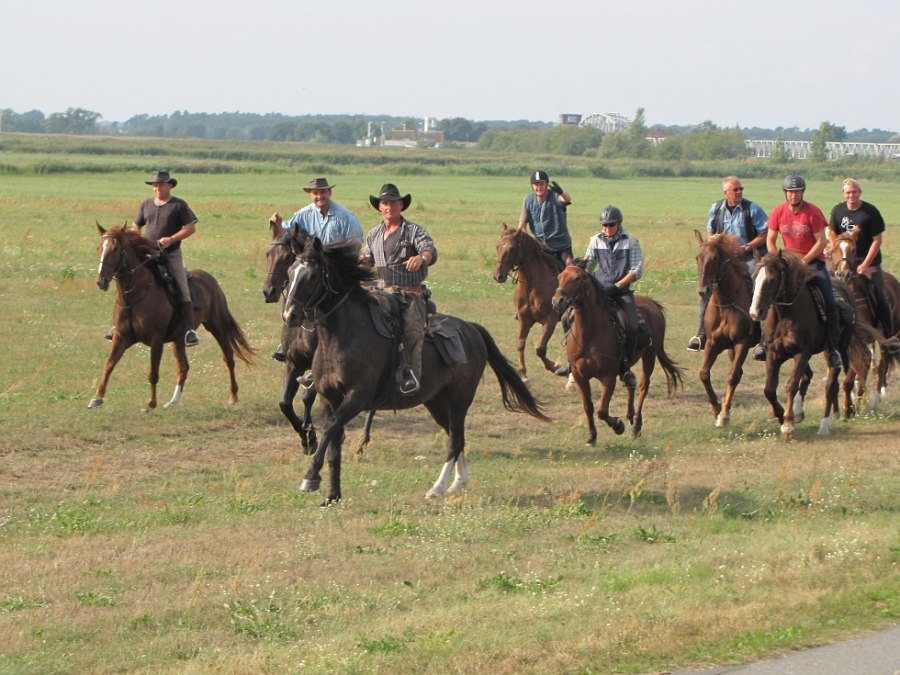 Onze ritten nemen je mee langs de kliffen, door de weilanden en, in het laagseizoen, naar het strand., &copy; Juliana V&ouml;lkner