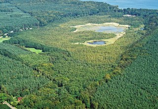 Naturschutzgebiet Wockninsee // © Fotoarchiv Naturpark Insel Usedom Naturschutzgebiet Wockninsee // © Fotoarchiv Naturpark Insel Usedom