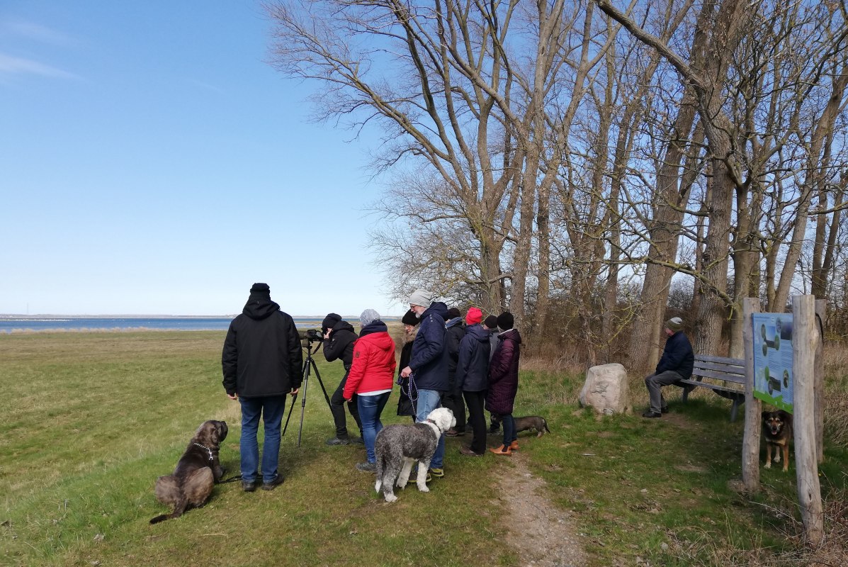 Wandelgroep - telescoop - natuur // &copy; Ines Wilke