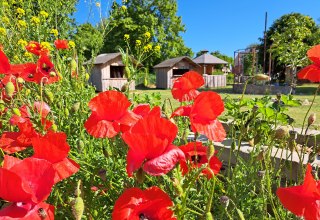 Hofansicht mit den urigen H&uuml;tten // &copy; Sabrina Brodoch