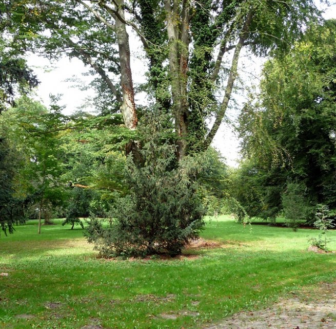 Parkgel&auml;nde // &copy; Sabrina Wittkopf-Schade