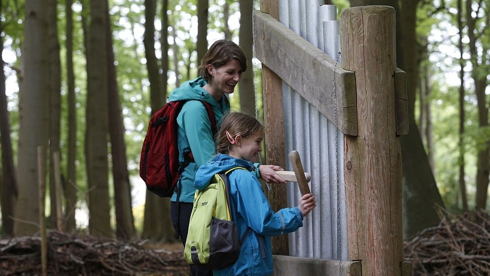 Gongw&auml;nde im Klangwald, &copy; TMV/outdoor-visions.com