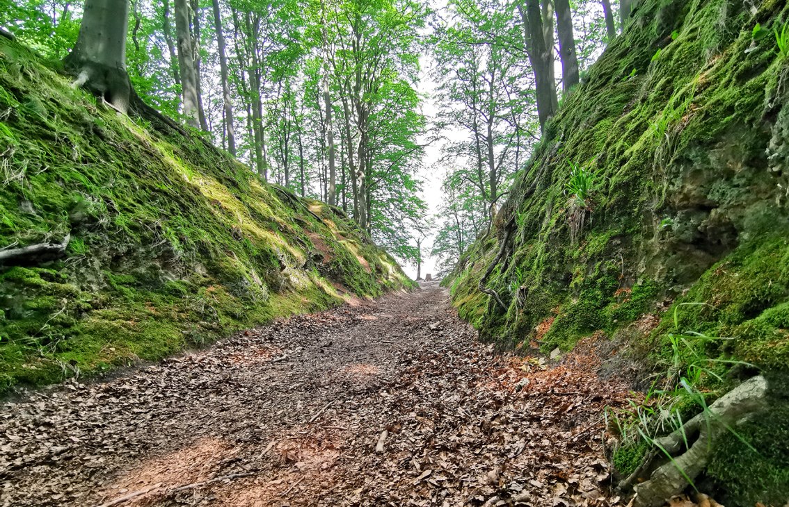 Naturschutzgebiet Granitz auf R&uuml;gen
Teufelsschlucht bei Binz, &copy; Biosph&auml;renreservat S&uuml;dost-R&uuml;gen