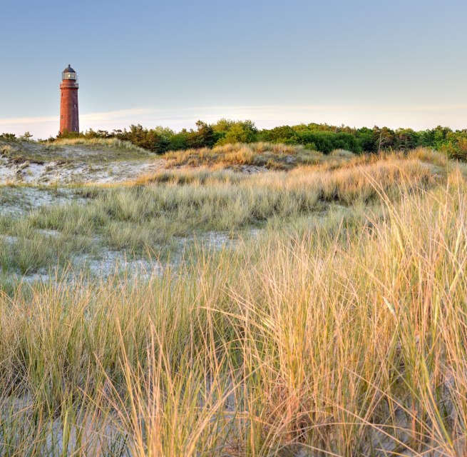 De opvallende vuurtoren van de Darß rijst op uit het duinlandschap bij Prerow. Goudkleurig duingras wiegt in de wind, terwijl de rode vuurtoren je blik richt op het uitgestrekte kustlandschap van de Oostzee - een mijlpaal om te ontdekken op de Darß. // © Francesco Carovillano De opvallende vuurtoren van de Darß rijst op uit het duinlandschap bij Prerow. Goudkleurig duingras wiegt in de wind, terwijl de rode vuurtoren je blik richt op het uitgestrekte kustlandschap van de Oostzee - een mijlpaal om te ontdekken op de Darß. // © Francesco Carovillano