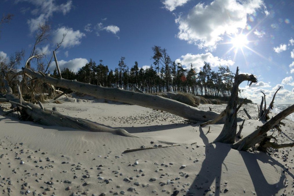 Weststrand, © Uwe Engler