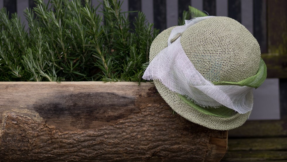 &copy; Jeannette Gebel