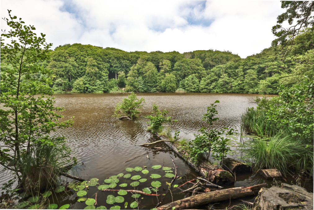 herthasee_5, © TMV/Gohlke