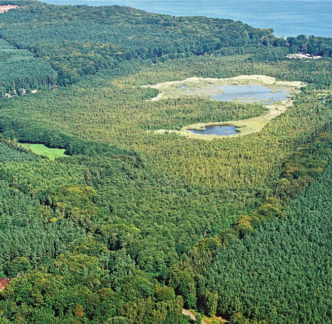 Naturschutzgebiet Wockninsee // © Fotoarchiv Naturpark Insel Usedom Naturschutzgebiet Wockninsee // © Fotoarchiv Naturpark Insel Usedom