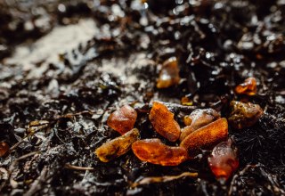 &copy; Binzer Bucht Tourismus