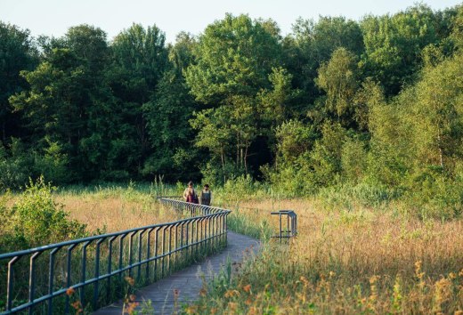 Auf über 800 km durch sieben Naturparke und einen Nationalpark führt der Naturparkweg durch Mecklenburg-Vorpommern., © TMV/Gänsicke