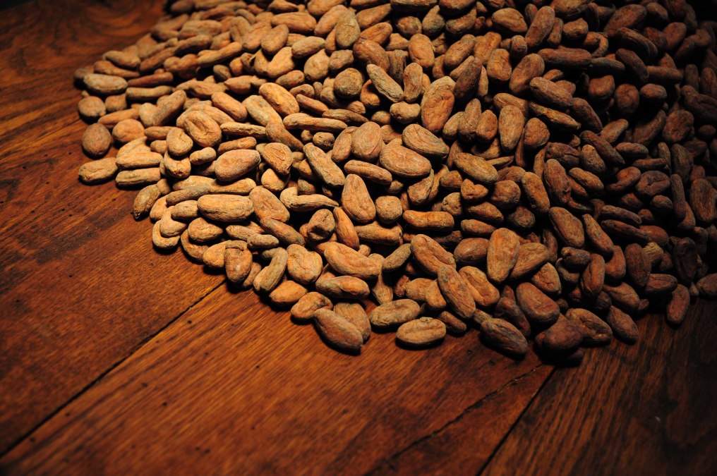 Kakaobohnen, © Kilian&Close