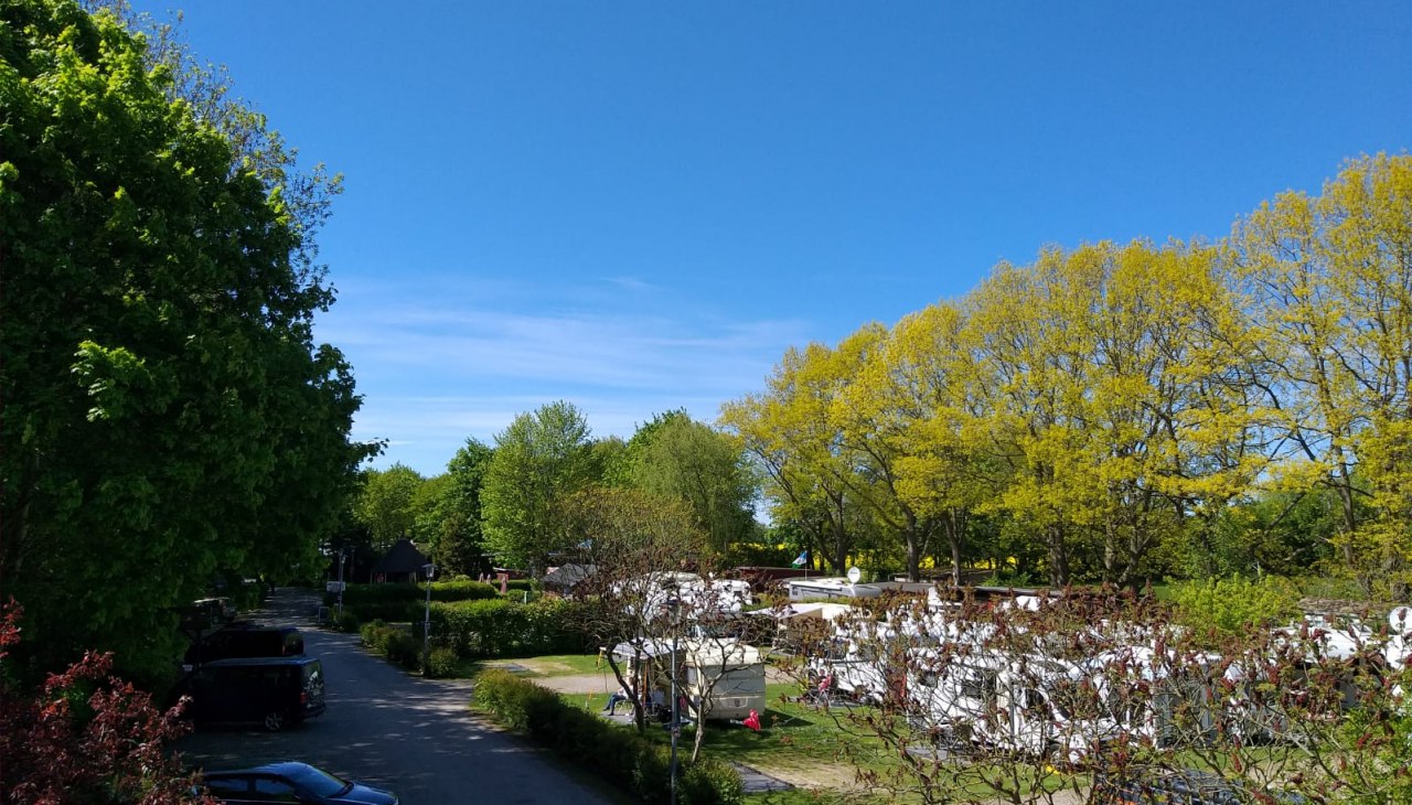 Blick auf den vorderen Bereich, © Marko Scherzer Blick auf den vorderen Bereich, © Marko Scherzer