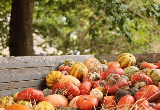 Herfstmarkt // © NoName_13 Herfstmarkt // © NoName_13