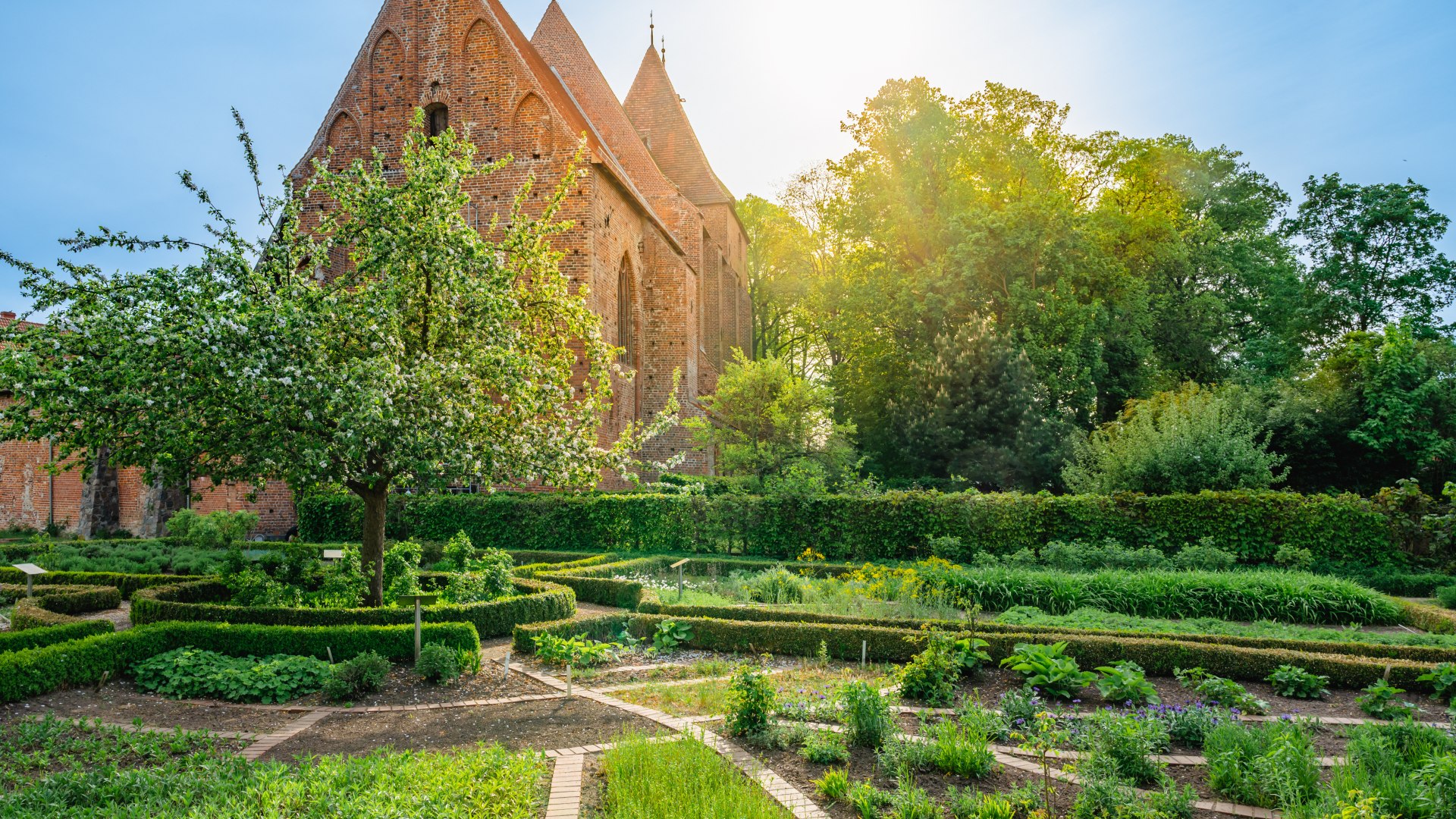 Klostergarten in Rehna mit Biblische Pflanzen, Kräutern und ein Apfelbaum in der Mitte des Gartens. Im Hintergrund das Kloster. // Biblische Pflanzen, Kräuter und ein Apfelbaum: Die Beete im Klostergarten Rehna sind reich und vielseitig bepflanzt. Das Klostergelände ist mittlerweile Veranstaltungsort, der Garten durchgehend öffentlich zugänglich. // © MV-T/Tiemann Klostergarten in Rehna mit Biblische Pflanzen, Kräutern und ein Apfelbaum in der Mitte des Gartens. Im Hintergrund das Kloster.