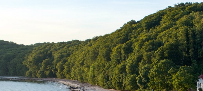 &copy; Binzer Bucht Tourismus