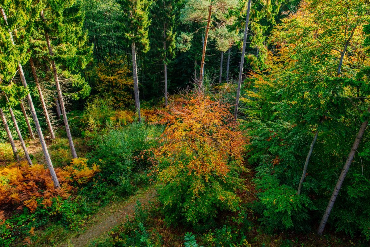 © Binzer Bucht Tourismus © Binzer Bucht Tourismus