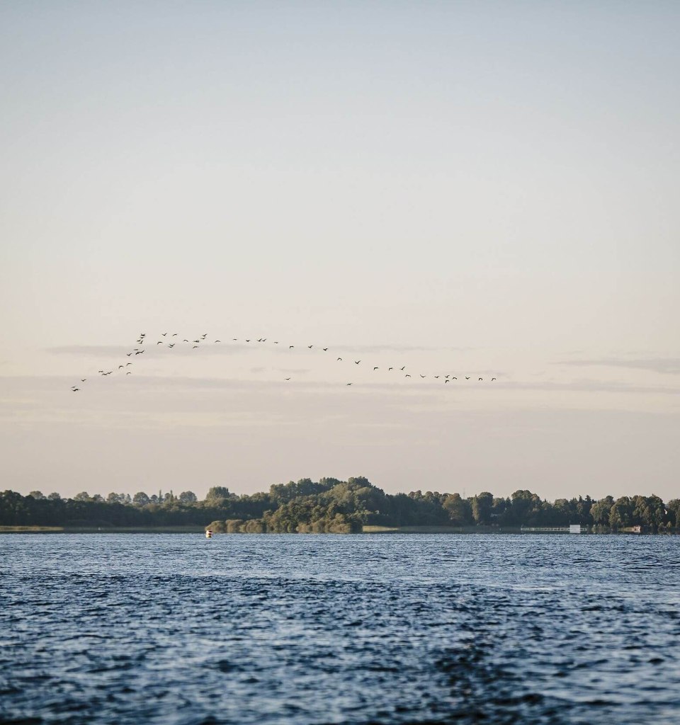 Natur erleben am Schaalsee, © TMV/Roth