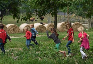 Plezier en spelletjes op kinderdag // © Naturerlebnispark Gristow Plezier en spelletjes op kinderdag // © Naturerlebnispark Gristow
