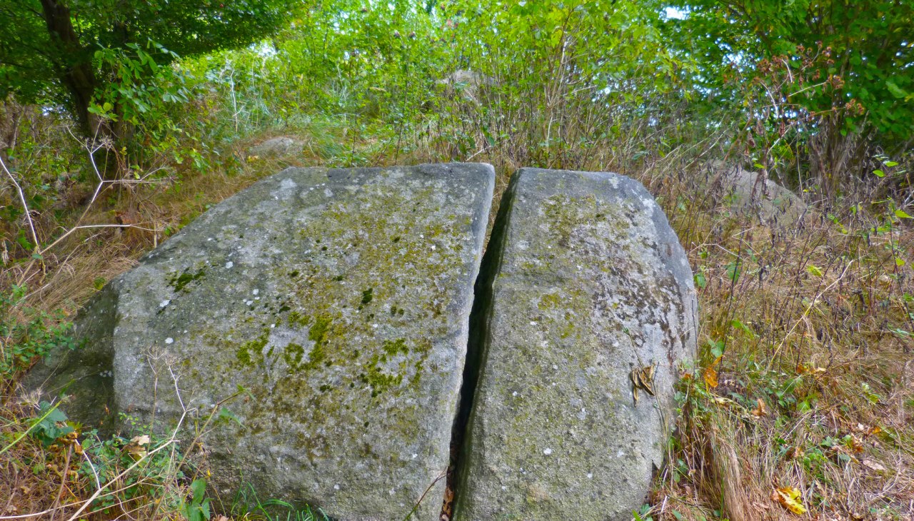 Das Gro&szlig;steingrab "Blocksberg" bei Posewald, &copy; Arch&auml;o Tour R&uuml;gen