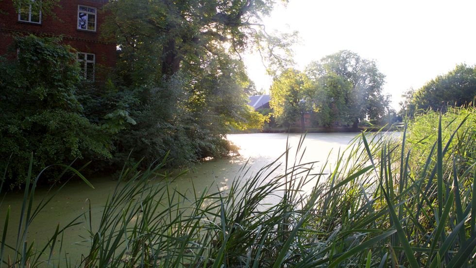 &copy; Antonia Jacobsen