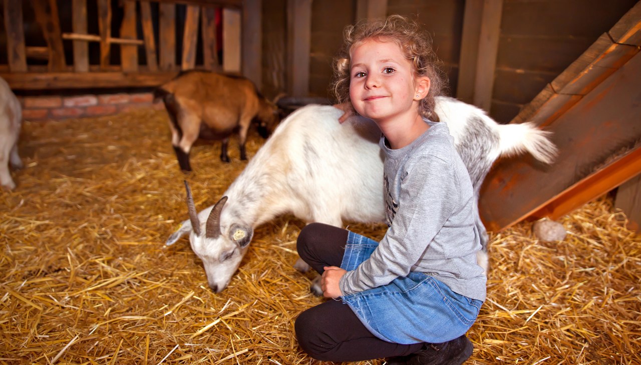 Kinderbauernhof, &copy; Karls Erlebnis-Dorf