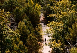 © Binzer Bucht Tourismus © Binzer Bucht Tourismus