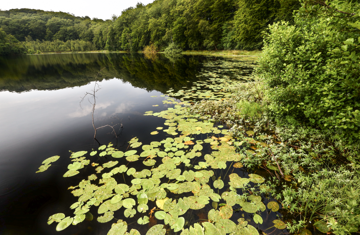 © TMV/Gohlke © TMV/Gohlke