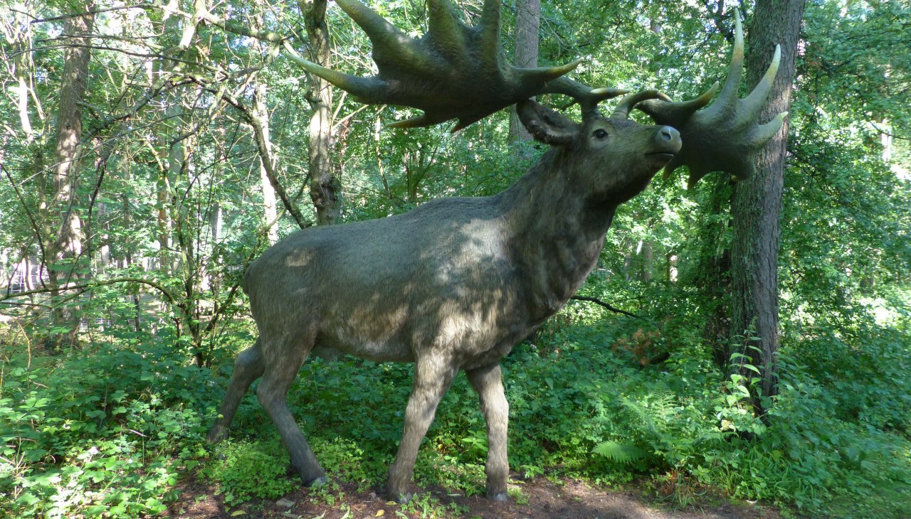 P1140117, © Weichbrodt P1140117, © Weichbrodt