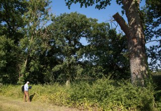 Begutachtung von Hecken und B&auml;umen // &copy; Biosph&auml;renreservatsamt Schaalsee-Elbe