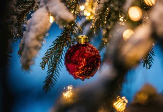 Symbolfoto, © Foto von Silas Baisch auf Unsplash Symbolfoto, © Foto von Silas Baisch auf Unsplash